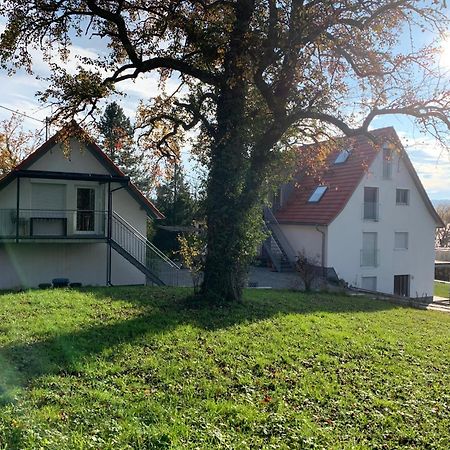Ferienwohnung Suessenmuehle 西普林根 外观 照片